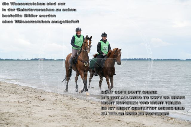 s_K3F04987.JPG